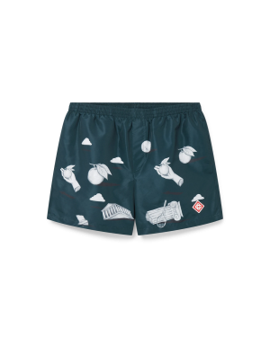 Metaphysical Swim Shorts