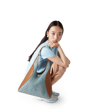 Monogram Denim Hobo Bag