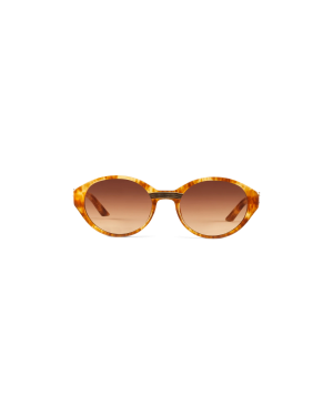 Brown & Gold Cannes Sunglasses