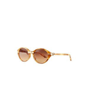 Brown & Gold Cannes Sunglasses