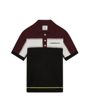 Stripe Merino Knit Polo