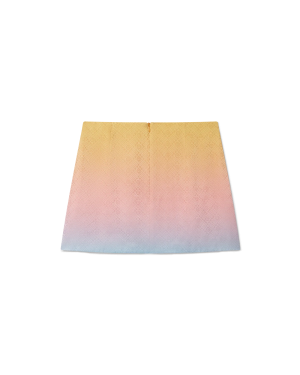 Ping Pong Gradient Silk Skirt