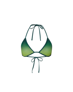 Gradient Bikini Top