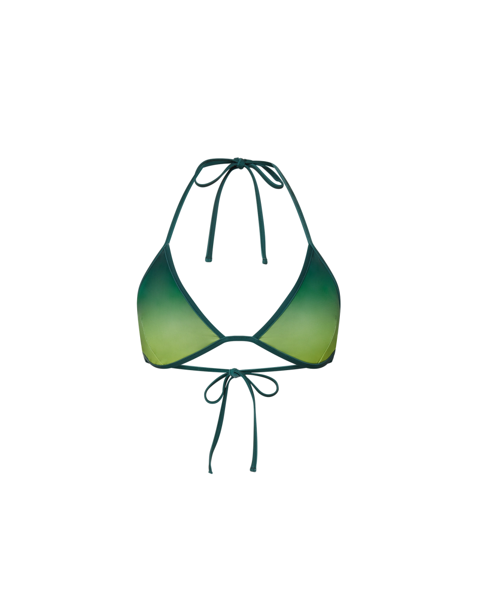 Gradient Bikini Top