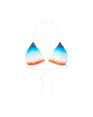 Gradient Bikini Top